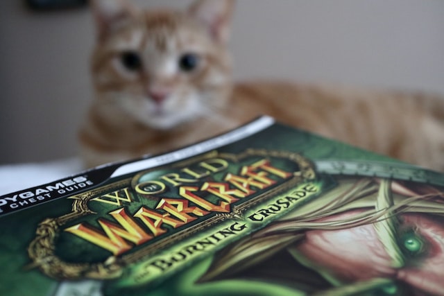 <strong>Exploring the Lore of World of Warcraft: From Azeroth to Draenor and Beyond</strong>
