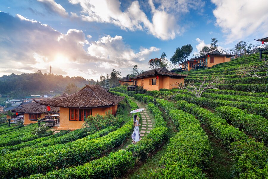 Best Places To Visit In Ooty