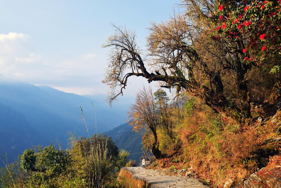 Autumn in Kashmir